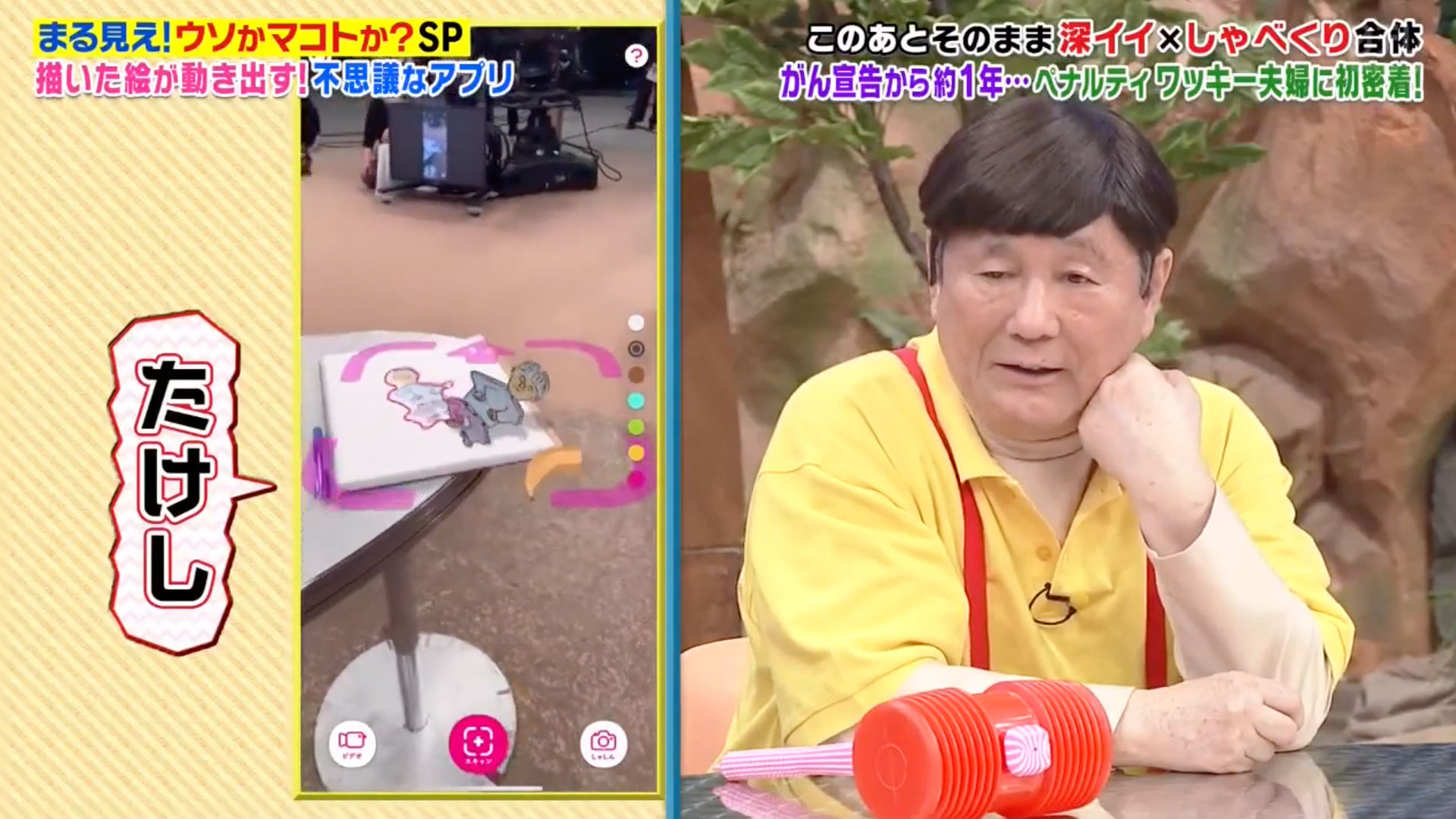 メディア掲載『世界まる見え！テレビ特捜部』 ― Whatever Co. | ワット